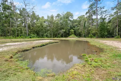 23045 Carson Rd, Pride, LA 70770 photo 32