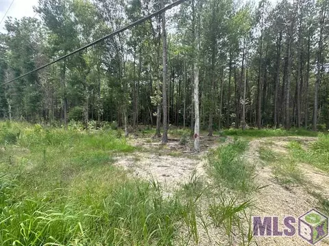 14363 Springfield Rd, Walker, LA 70785 photo 2
