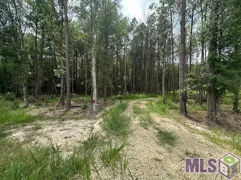 14363 Springfield Rd, Walker, LA 70785 photo 3