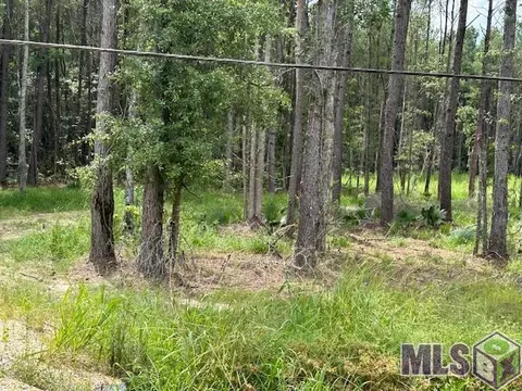 14363 Springfield Rd, Walker, LA 70785 photo 6