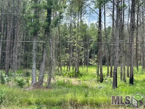 14363 Springfield Rd, Walker, LA 70785 photo 7