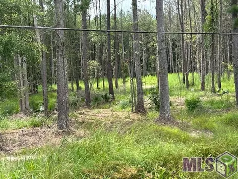 14363 Springfield Rd, Walker, LA 70785