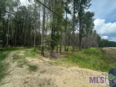 14363 Springfield Rd, Walker, LA 70785 photo 5
