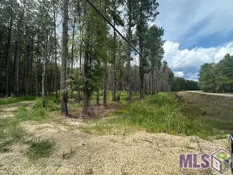 14363 Springfield Rd, Walker, LA 70785 photo 4
