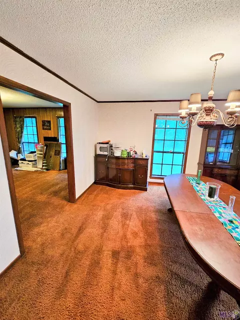 30600 Schroeder Rd, Springfield, LA 70462 photo 10