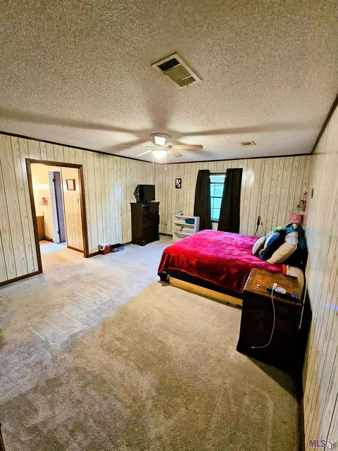 30600 Schroeder Rd, Springfield, LA 70462 photo 4