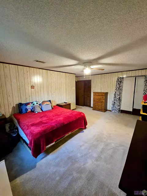 30600 Schroeder Rd, Springfield, LA 70462 photo 5