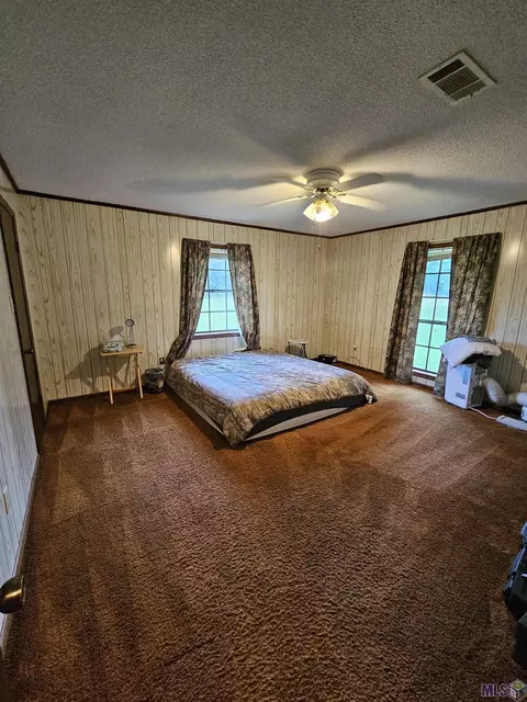 30600 Schroeder Rd, Springfield, LA 70462 photo 8