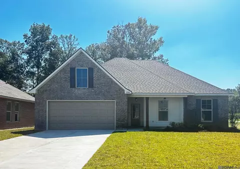 11538 Water View Ave, Denham Springs, LA 70726