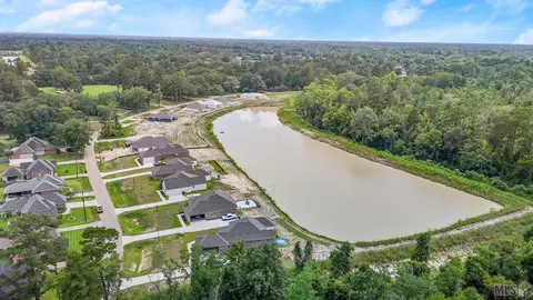 14751 Carroll Ave, Walker, LA 70785 photo 17