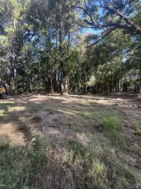 lot A-2 Scott Barr Rd, Slaughter, LA 70777