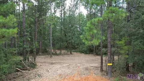 tbd Whiskey Ln #B, Tickfaw, LA 70466