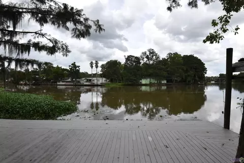 View/Area - 18125 River Bend Rd, Maurepas, LA 70449 photo 1 of 2