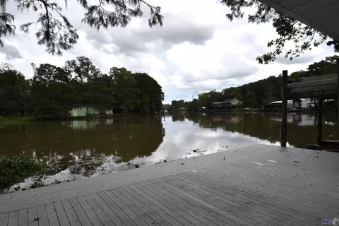 View/Area - 18125 River Bend Rd, Maurepas, LA 70449 photo 2 of 2
