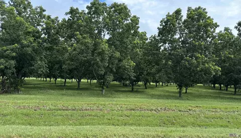 tbd La Hwy 417, Batchelor, LA 70715