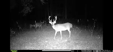 12200 Farrar Davis Rd, Saint Francisville, LA 70775