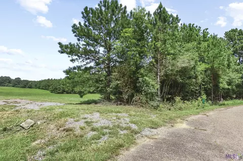 9761 Grace Ln, Clinton, LA 70722 photo 11
