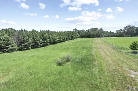 9761 Grace Ln, Clinton, LA 70722 photo 7