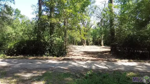 23947 Joe Gayle Rd, Livingston, LA 70754