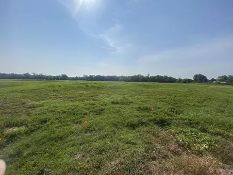 lot19 Buddy Gore Rd, Gonzales, LA 70737