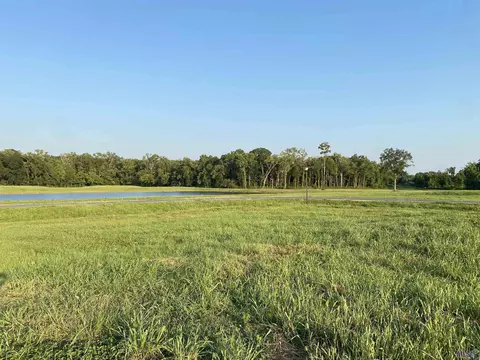 lot20 Buddy Gore Rd, Gonzales, LA 70737