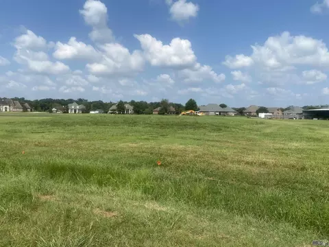lot24 Buddy Gore Rd, Gonzales, LA 70737