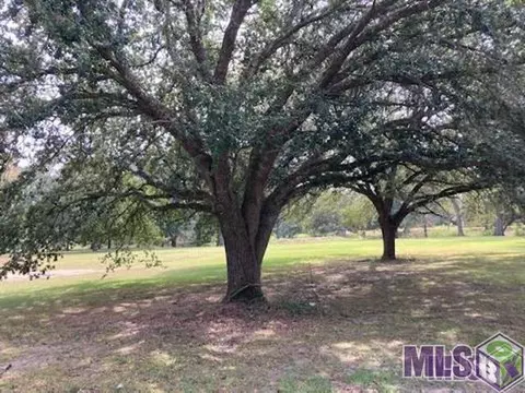 37211 Swamp Rd, Prairieville, LA 70769
