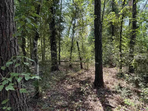 Tract E La Hwy 441, Montpelier, LA 70422