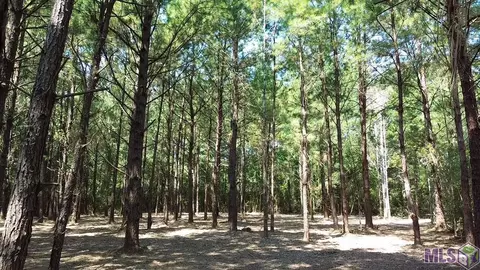 Tract B, Franklinton, LA 70438