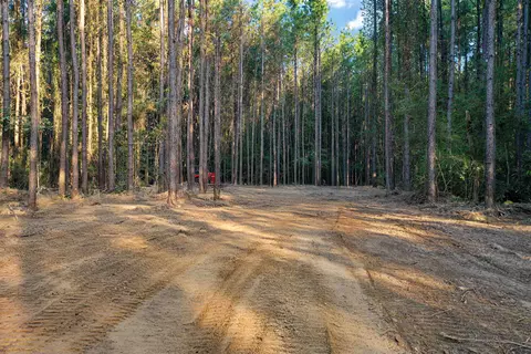 lot7 La Hwy 449, Pine Grove, LA 70453