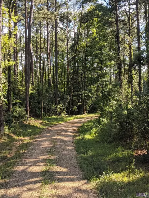 12150 Rouchon Ln, Clinton, LA 70722