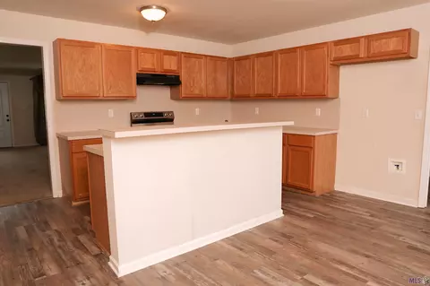 40359 Kipling Dr, Darrow, LA 70725 photo 7