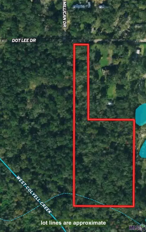 7 26 Acres Dot Lee Dr, Denham Springs, LA 70726