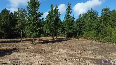 Tract 2 Leonard Chapel Rd, Amite, LA 70443