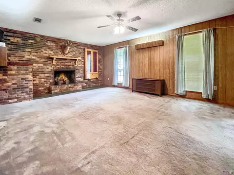 14315 Salt Dome Rd, Walker, LA 70785 photo 4