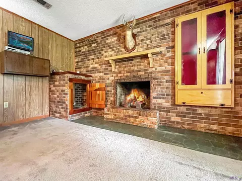 14315 Salt Dome Rd, Walker, LA 70785 photo 5