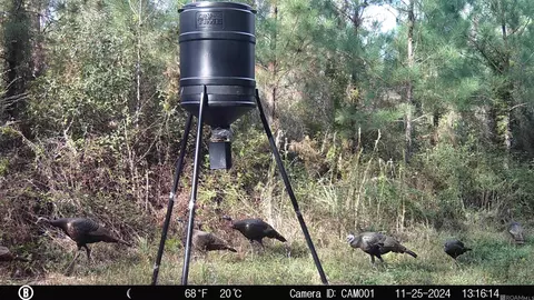00 County Line Rd, Summit, MS 39666