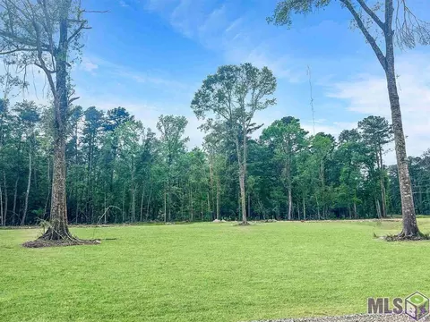 Ek-6 Springfield Rd, Walker, LA 70785 photo 3