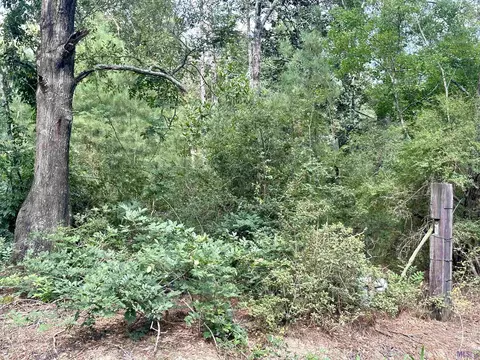 7 32 Acres Starns Rd, Independence, LA 70443