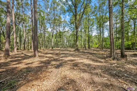 11417 Sims Rd, Denham Springs, LA 70706