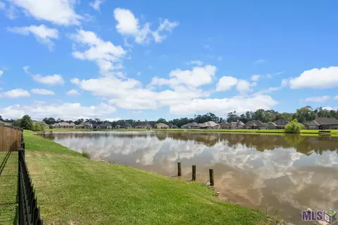 View/Area - 13306 Brookcrest Dr, Walker, LA 70785 photo 1 of 1