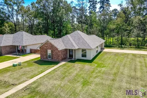 12236 Creekside Ave, Walker, LA 70785 photo 25