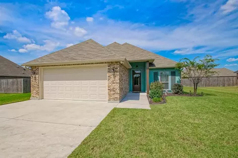 25305 White Lake Ave, Livingston, LA 70754