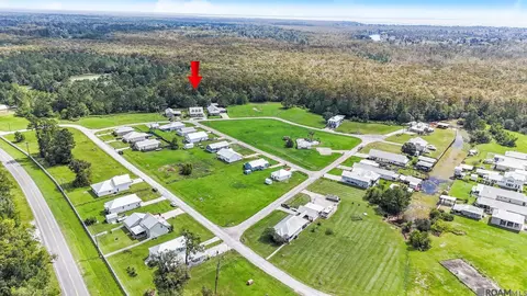 View/Area - 17248 Tchula Dr, Springfield, LA 70462 photo 3 of 4