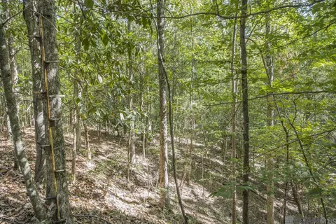 Tract A Rogers Rd, Saint Francisville, LA 70775