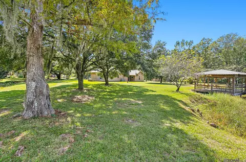 11784 Risher Ln, Walker, LA 70785