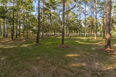 17256 Lavell Rd, Pride, LA 70770 photo 6