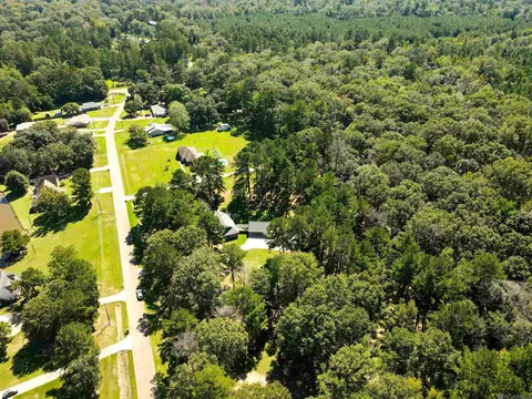 17256 Lavell Rd, Pride, LA 70770 photo 14