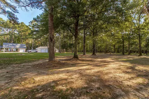 17256 Lavell Rd, Pride, LA 70770 photo 4