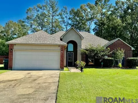 13882 Penbrooke Ave, Denham Springs, LA 70726